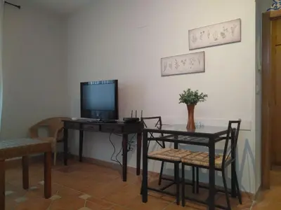 Una televisión o centro de entretenimiento en Apartamento patio de San Lorenzo VFT/CO/00990