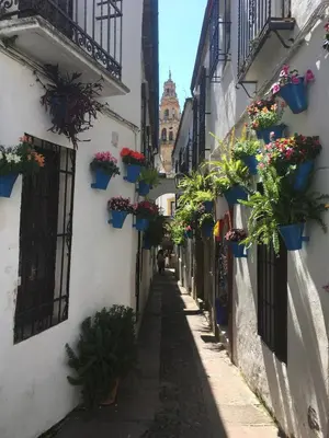El barrio de los alrededores o un barrio cerca de este apartamento
