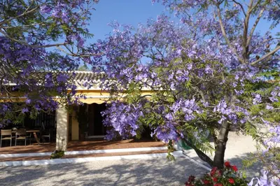 Jardín al aire libre en Finca Gordo
