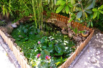 Jardín al aire libre en Alojamiento Rural Las Acacias