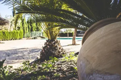 Jardín al aire libre en Charming house in Estepa with shared pool.