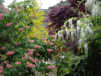 Jardín al aire libre en La Casita con piscina privada de tres dormitorios