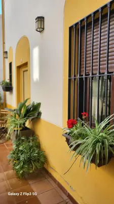 Plano de APARTAMENTO CASA NARANJO