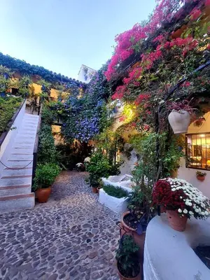 Jardín al aire libre en APARTAMENTO CASA NARANJO