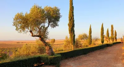 Paisaje cerca de esta villa