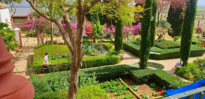 Jardín al aire libre en Cortijo El Triguero N-398 Ctra Carmona – El Viso del Alcor Km 18
