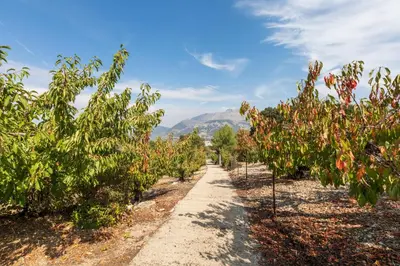 Paisaje cerca of this country house