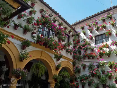 Jardín al aire libre en Dúplex-Ático de Nácar Casco Histórico