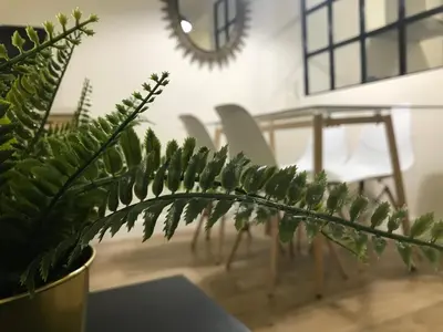 Plano de Loft Nature en Bernabé Soriano