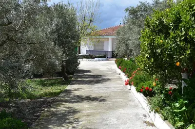 Jardín al aire libre en CASA RURAL ALEJO
