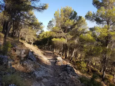 Paisaje cerca de este apartamento