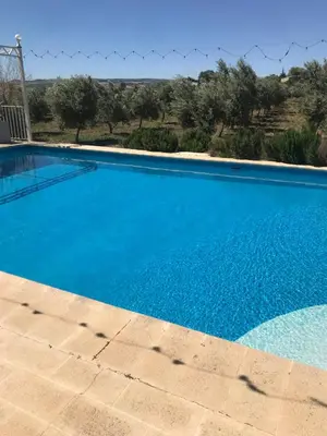 Piscina en o cerca de Finca La Rosalía