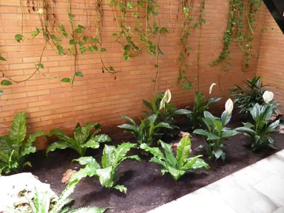 Jardín al aire libre en Apartamento Fibes-Congresos Parking Gratis