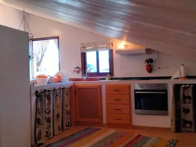 Una cocina o zona de cocina en Finca Los Jacaros