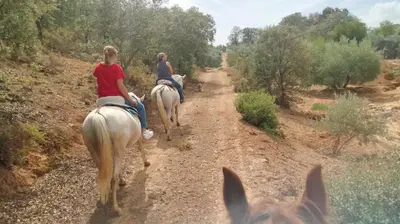 Animales en el apartamento o alrededores
