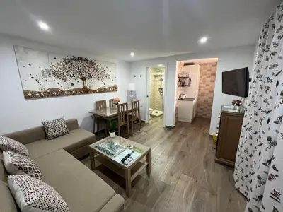 Una televisión o centro de entretenimiento en Apartamento de Lola