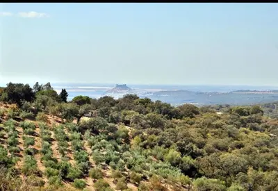 Paisaje cerca of this country house