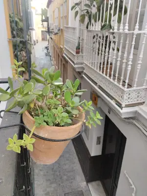 Un balcón o terraza de ALOJAMIENTO LANZA en el CORAZÓN DE SEVILLA