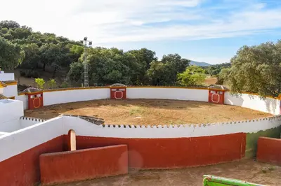 Jardín al aire libre en Finca La Lola - Secluded Andalusian Finca for Groups of up to 24 Guests