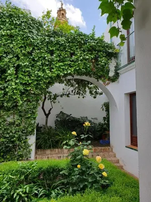 Jardín al aire libre en Entre 2 Mezquitas Apartamento 8