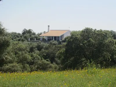 Paisaje cerca de esta casa o chalet