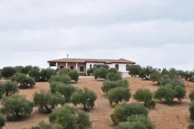 Edificio en el que se encuentra la casa o chalet