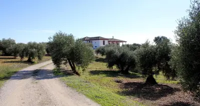 Paisaje cerca de esta casa o chalet