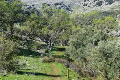 Paisaje cerca de esta casa o chalet