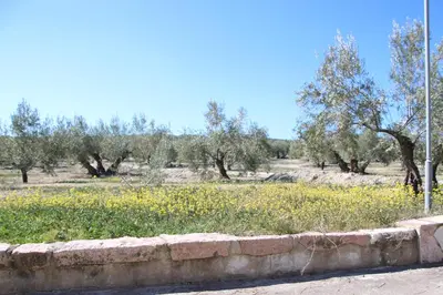 Paisaje cerca de este apartamento