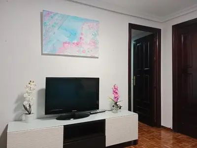 Una televisión o centro de entretenimiento en Apartamento zona Palacio de las Dueñas y las Setas