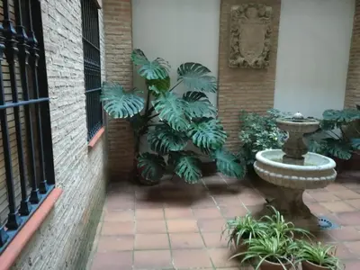 Jardín al aire libre en Bernardo López con opción a parking