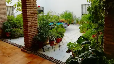 Jardín al aire libre en Patios de San Rafael