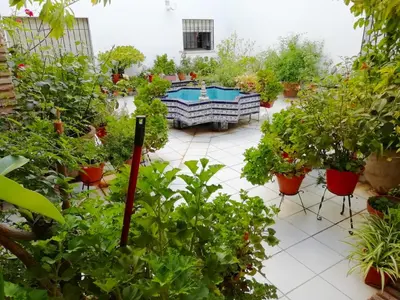 Jardín al aire libre en Patios de San Rafael