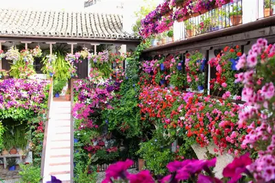 Jardín al aire libre en Puerta a la Mezquita