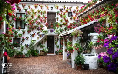 Jardín al aire libre en Puerta a la Mezquita