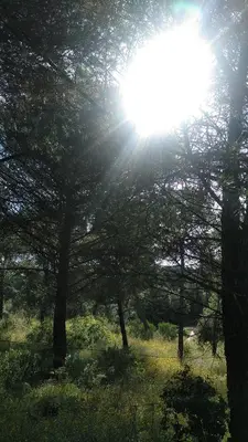 Paisaje cerca de esta casa o chalet