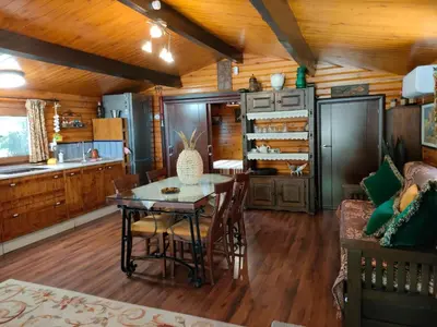 Una cocina o zona de cocina en CABAÑA DE MADERA JUNTO AL LAGO LAS JARAS