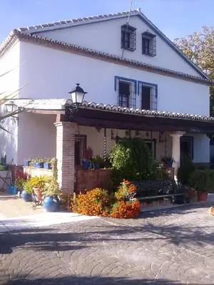 Edificio en el que se encuentra la casa o chalet