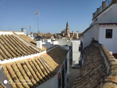 El barrio de los alrededores o un barrio cerca de este apartamento