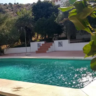 El olivar de Concha