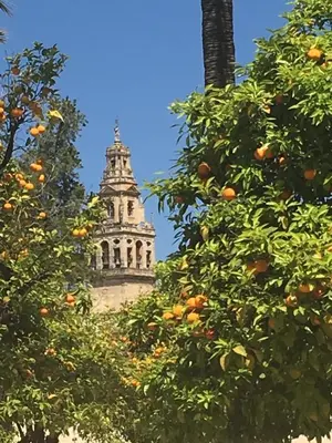 Un lugar de interés cerca de este apartamento