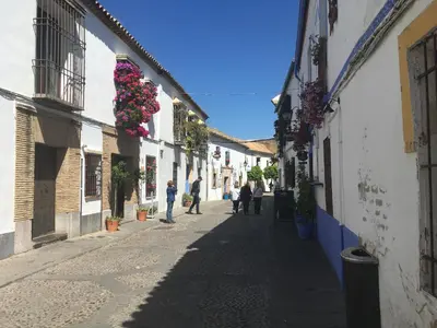 El barrio de los alrededores o un barrio cerca de este apartamento