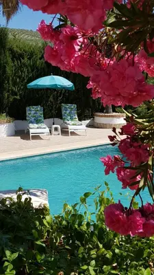 Piscina en o cerca de Casa Olivar B&B