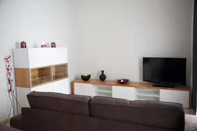 Una televisión o centro de entretenimiento en Apartamentos Plaza de Austria