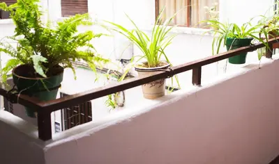 Plano de Amor, emoción y más, Auténtico apartamento céntrico climatizado,con wifi, cercano a la catedral y estaciones