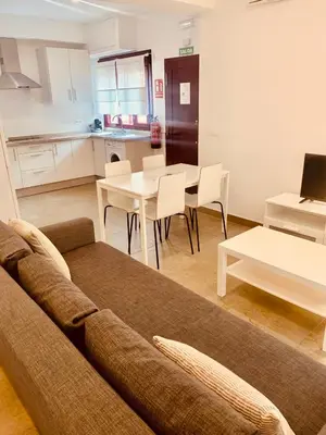 Una cocina o zona de cocina en Apartamentos Pintor Losada