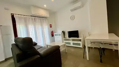 Una televisión o centro de entretenimiento en Apartamentos Pintor Losada