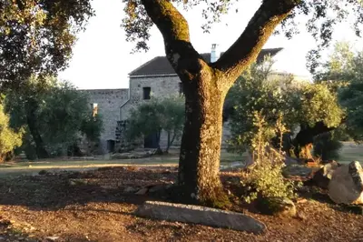 Jardín al aire libre en Viña Las Olivas
