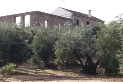 Jardín al aire libre en Viña Las Olivas