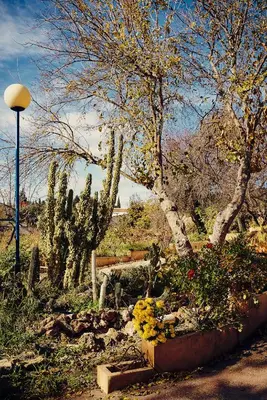 Jardín al aire libre en Vivienda Turística La Huerta